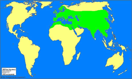 Afrique-Eurasie